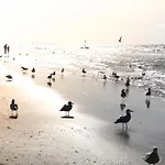 Near Noordwijk