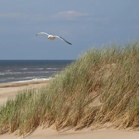 Holiday Home Noordwijk Near Beach Noordwijk