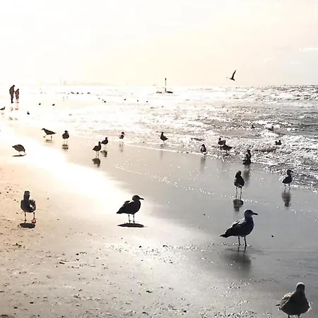 Near Noordwijk