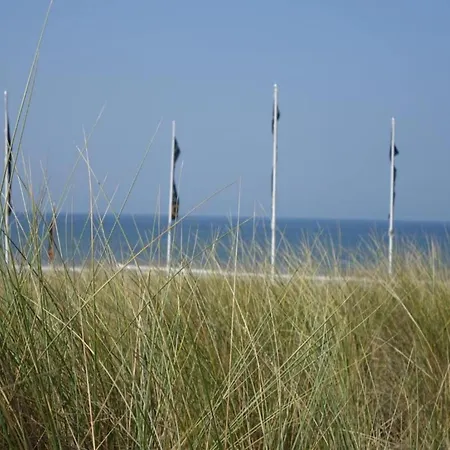 Near Holiday home