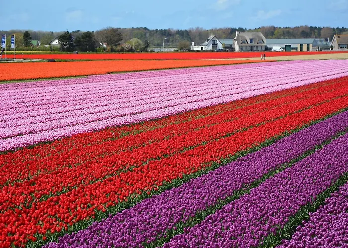 Holiday Home Noordwijk Near Beach Holiday home *