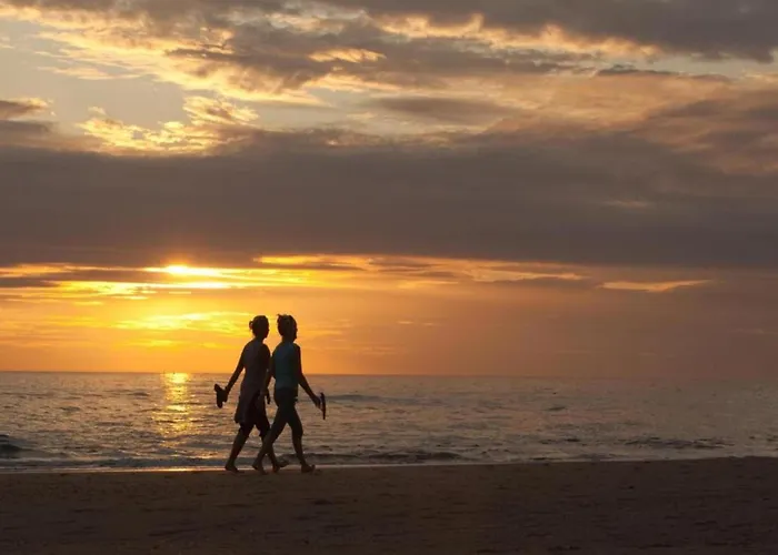 Holiday Home Noordwijk Near Beach Noordwijk