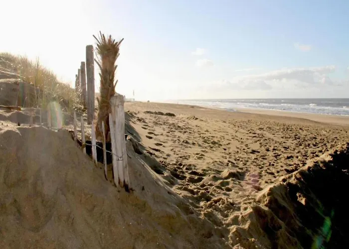 Holiday Home Noordwijk Near Beach Dom wakacyjny *