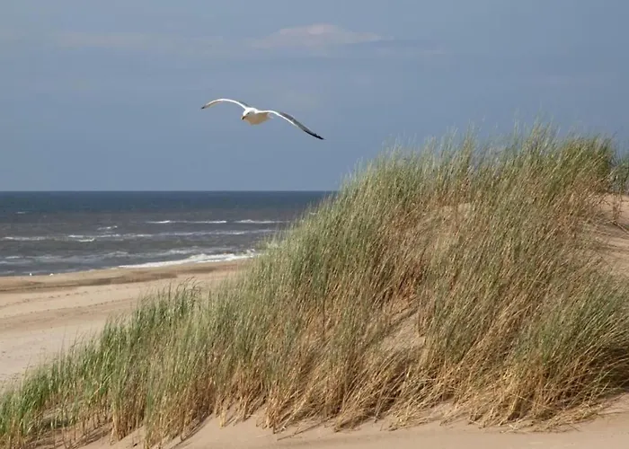 Holiday Home Noordwijk Near Beach Noordwijk
