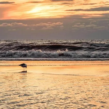 Σπίτι διακοπών Holiday Home Noordwijk Near Beach *