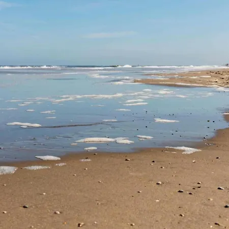 Holiday Home Noordwijk Near Beach Σπίτι διακοπών Noordwijk