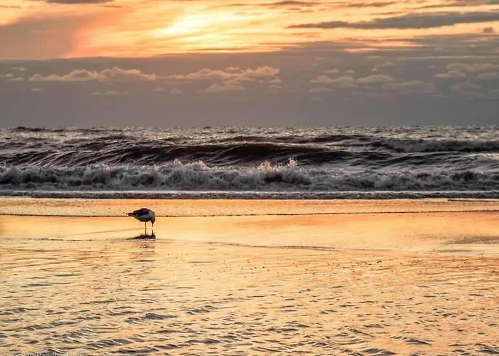 Σπίτι διακοπών Holiday Home Noordwijk Near Beach *