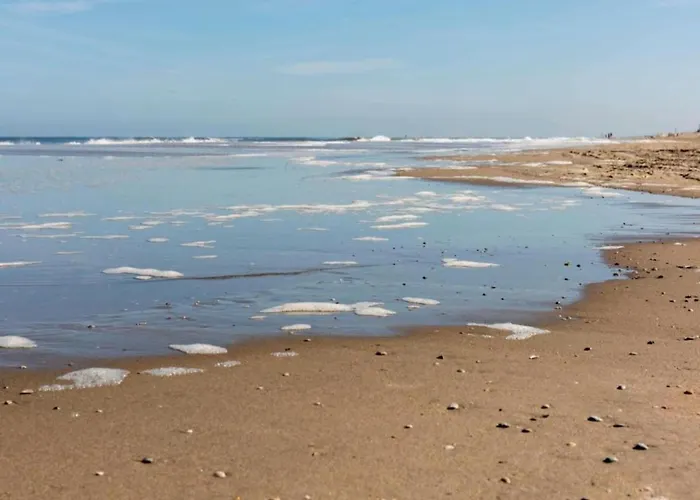 Holiday Home Noordwijk Near Beach Σπίτι διακοπών Noordwijk