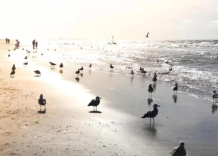 Σπίτι διακοπών Holiday Home Noordwijk Near Beach *